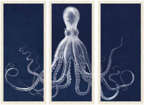 Lord Bodner Octopus Triptych