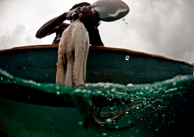 The Bajau Laut - James Morgan